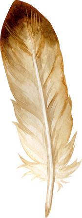 Watercolor Brown Feather
